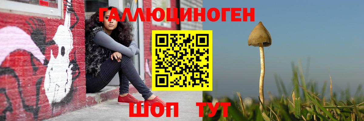 Холмск  Псилоцибиновые грибы MAGIC MUSHROOMS  Вход с VPN  Галлюциногенные грибы ЛСД 